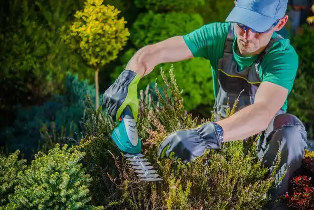 landscaping services Birch Tree
